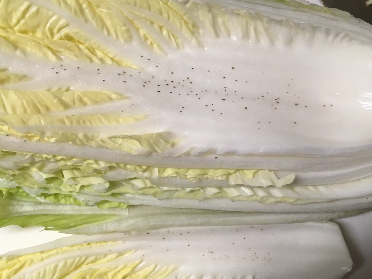 あなたは捨ててない？黒い斑点が出た白菜は、食べられる！