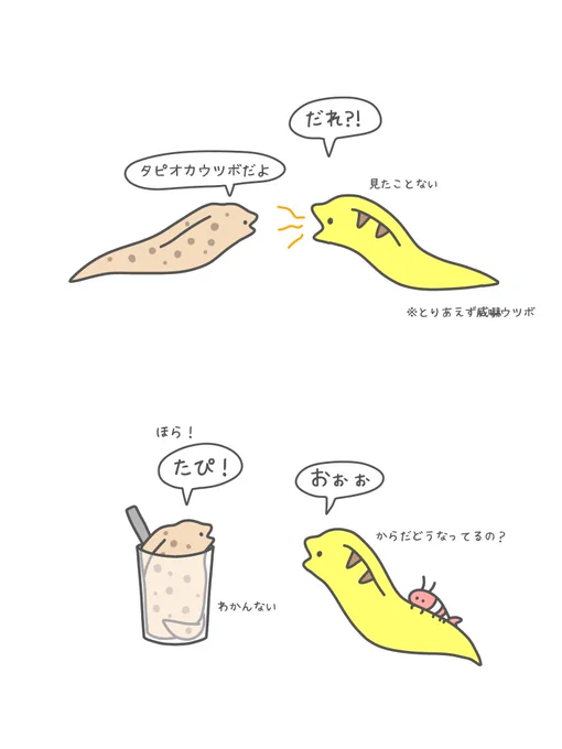 タピオカウツボ見た目も名前もかわいいね https://t.co/4s6kxh8RZa 