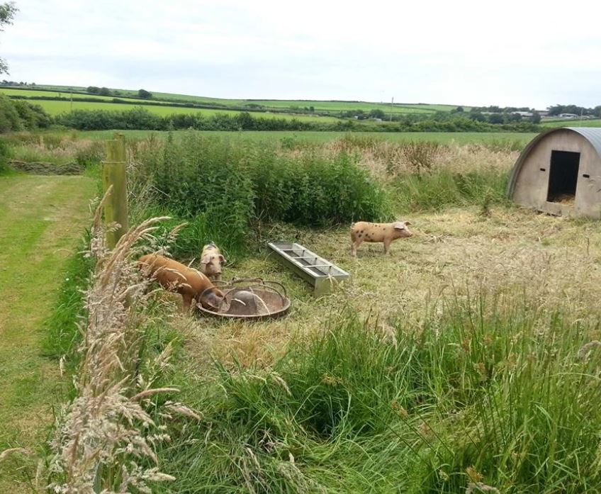 TheHolidayCots's tweet photo. Located in an Area of Outstanding Natural Beauty, Biteford Farm Holidays is the perfect choice for a country escape.
🛌Sleeps 1-4
https://t.co/YvOizqayjl
#Woolsery #Bideford #NorthDevon #SelfCatering #Farm #CountryEscape #SouthWestCoastalPath #Bude #PetsWelcome #Idyllic https://t.co/dFNJtB56EN