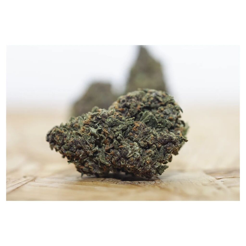 Anti_One_IRE's tweet photo. • Lil Legend OG 😎🌿 • 

[ 14% CBD . less than 0.2% THC ] 

#cbd #legendog #cbdbud #cannabis #cannabisphotography #irishcannabisreform #legendogcbd #cbdcannabis #canon #zeiss #cannabisdetails #littlecollins #weed #cbdweed #weedphotography #cannabisrefo… https://t.co/7yg8Y3oiD2 https://t.co/XFHNTWfgX4