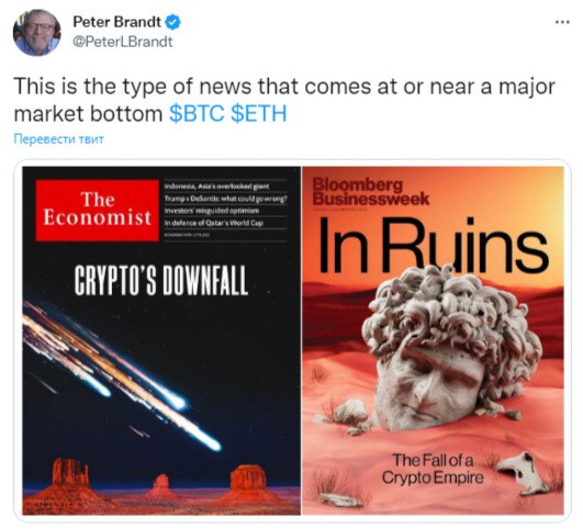 Coin Copy Trading tweet media