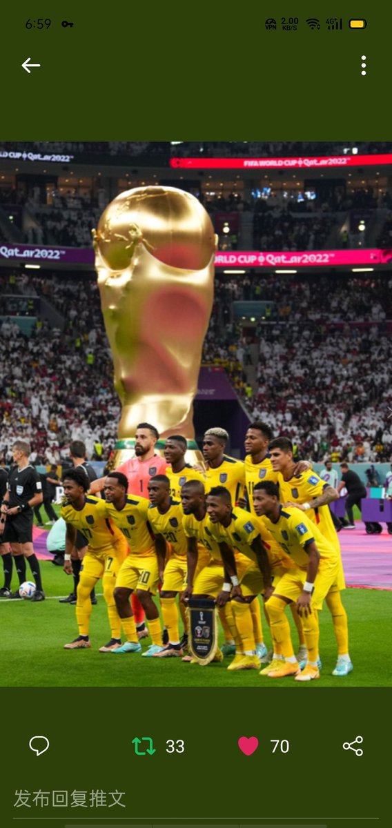 @YOHO_Aitd <a href="/LaTri/">La Tri 🇪🇨</a> yoho出圈就爆发了