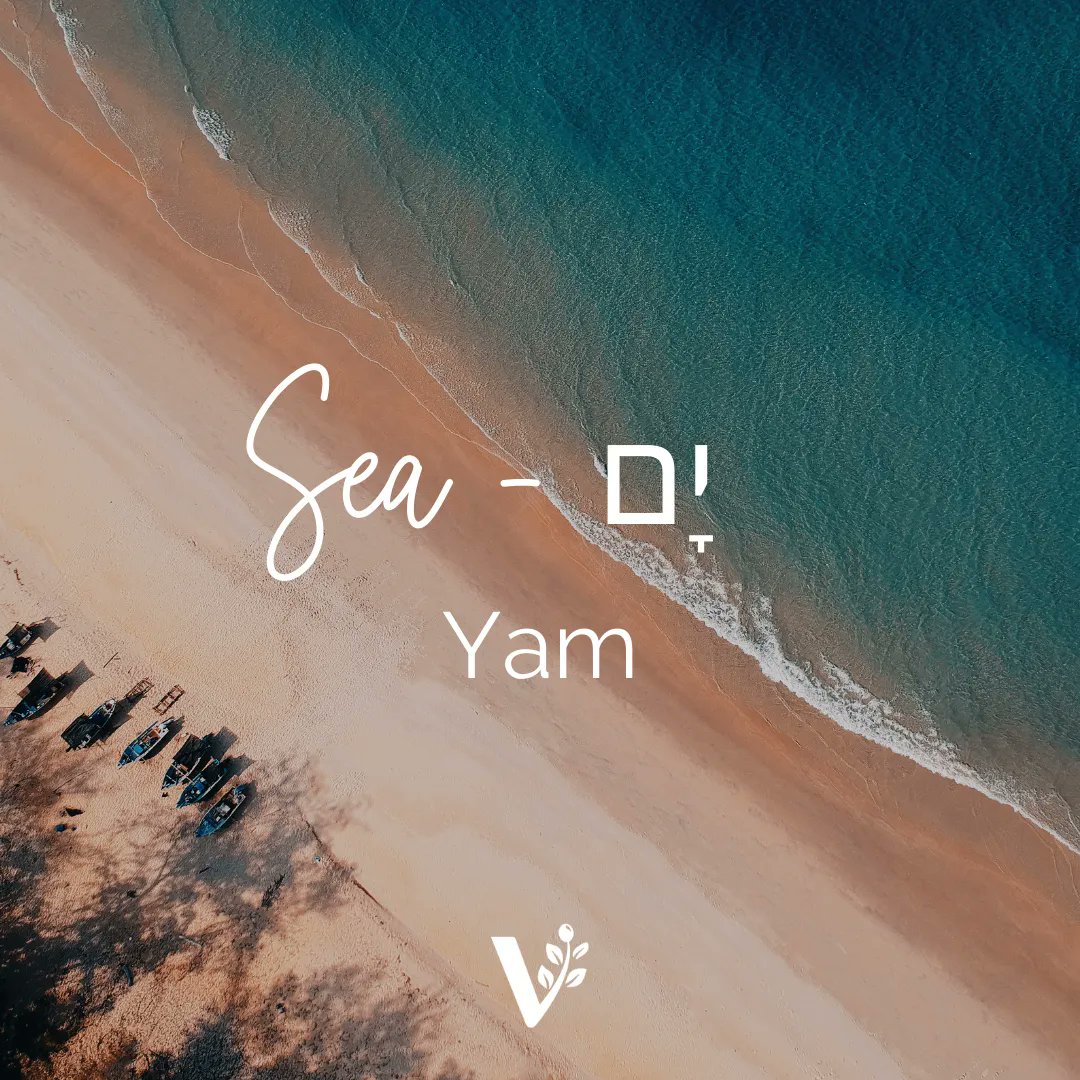 BarrySegalVFI's tweet photo. Sea - יָם - Yam
The entire nation of Israel resides along the Mediterranean Sea.
#visionforisrael #israel #sea #israelibeaches #coastalcities #hebrew #hebrewword #wordoftheday https://t.co/Y3Gq6kAhhz