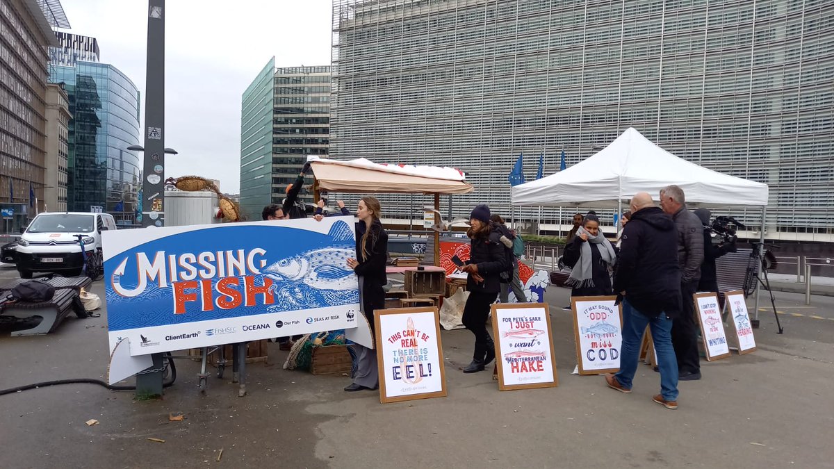 OceanaEurope's tweet photo. We're getting everything set up for today's "Missing Fish" event in Brussels. Curious? Keep an eye on #EndOverfishing throughout the day to learn more. https://t.co/UVFwh7SH56