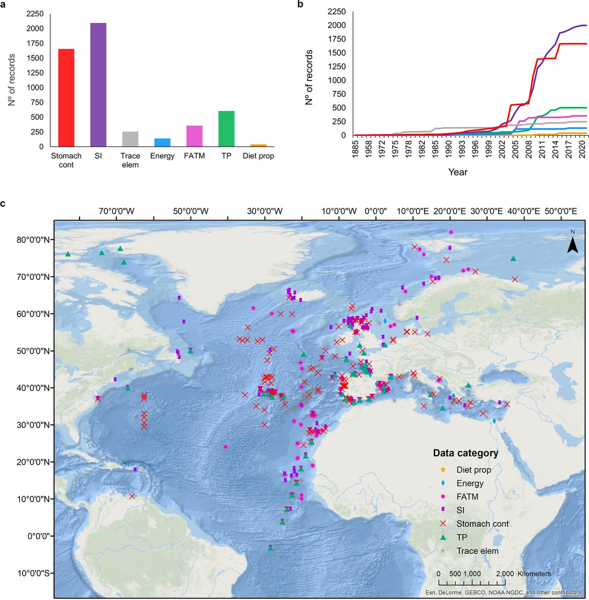 Azores Whale Lab - Cetacean Ecology Group tweet media