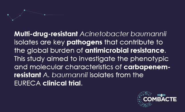COMBACTE's tweet photo. EURECA increased the knowledge on A. baumannii #epidemiology &amp; resistance genes by sharing the phenotypic &amp; #molecular characteristics of their strain collection. 👉 https://t.co/XTteCbK1Md @MedMicroLab_UA @jesusrbano @basilbritto @ProfHGoossens @IHIEurope @EFPIA @WHO #WAAW2022 https://t.co/5MYv6iUYid