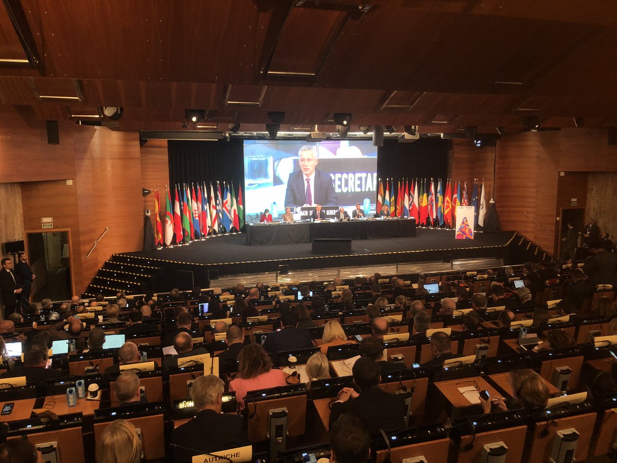 NATO Secretary General Stoltenberg <a href="/jensstoltenberg/">Jens Stoltenberg</a> just declared at the NATO PA plenary session in Madrid that NATO members, besides being responsible to protect each other, also have responsibility to extend greater support to such close partners as Georgia.