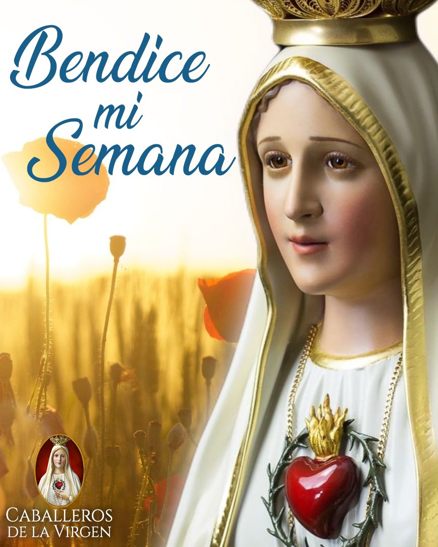 Cab_Virgen's tweet photo. Madre mía: te ofrezco con amor esta semana que comienza.
¡Refúgiame en tu Corazón Inmaculado! https://t.co/2eEqhBjTap