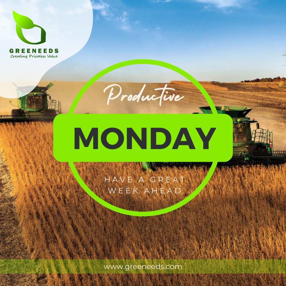 Greeneeds_'s tweet photo. Be thankful for every opportunity you get and be more productive.
Welcome to a new week.
#MondayMorning #greeneeds #foodsecurity https://t.co/vaUfiwh3Ab