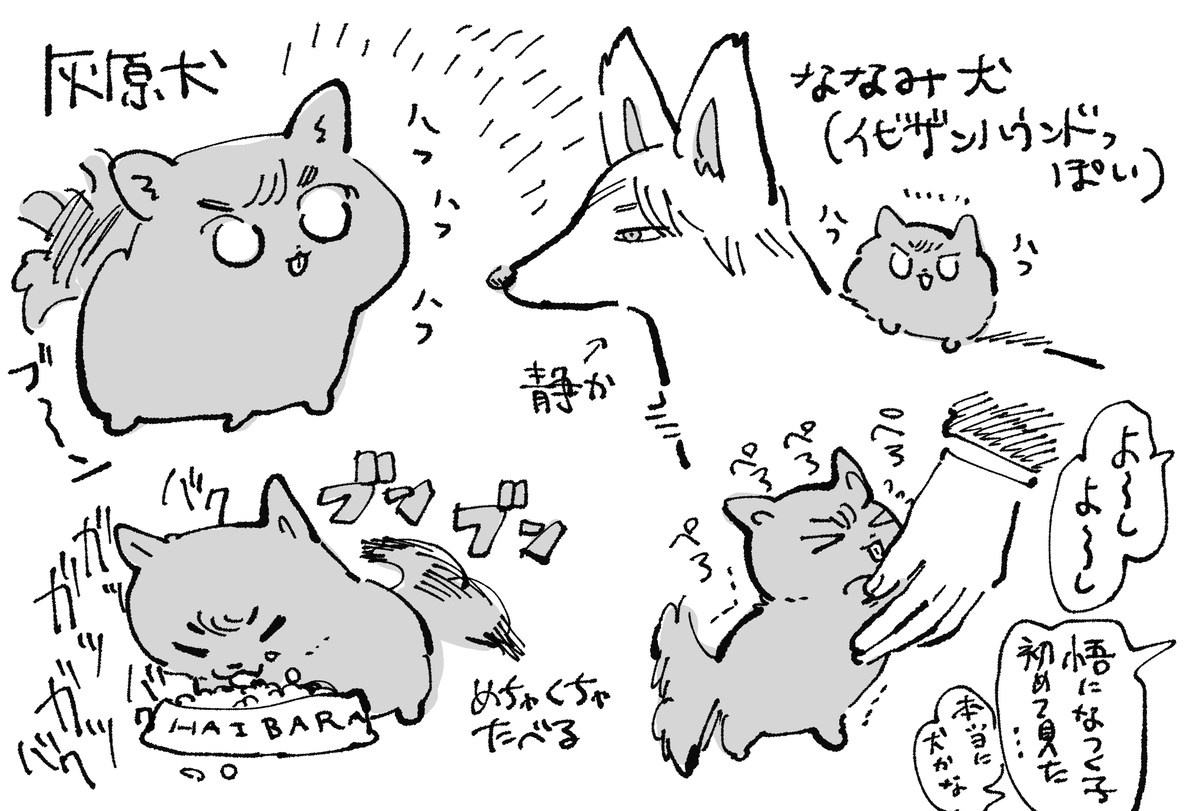 はいばら🐶 