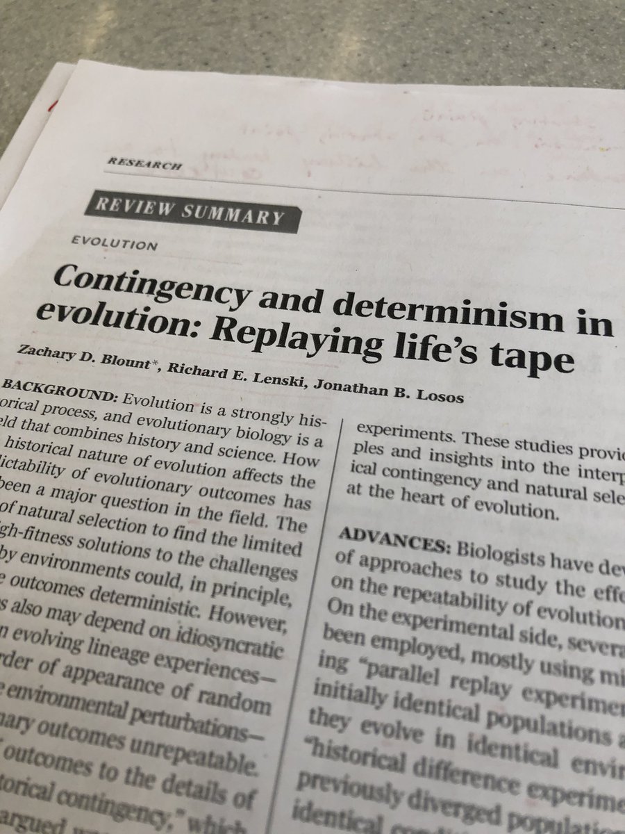 If you are an evolutionary biologist, then I recommend you read this paper. Apart from the brilliant science and perspective, the writing is just sublime. Thank you @RELenski  <a href="/JLosos/">Jonathan B. Losos</a> and Zachary Blount.