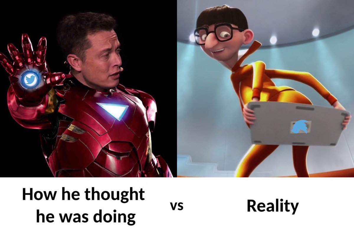 If Elon Musk ever looked outside his own echo chamber