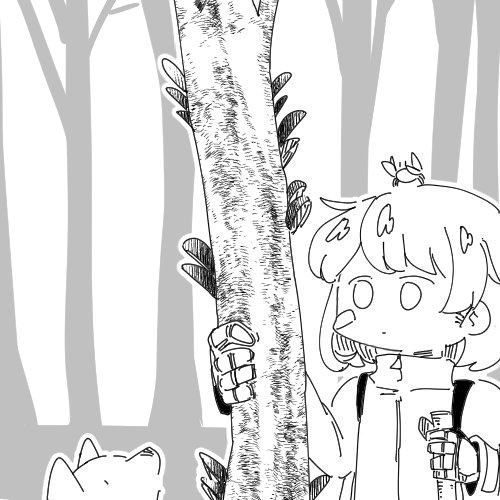 キノコ採取してきた 