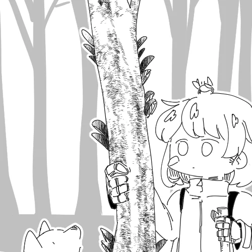 キノコ採取してきた 