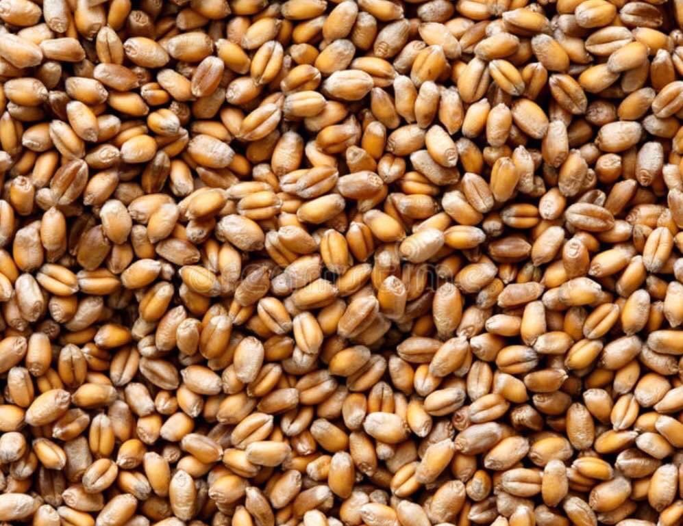 lamacameroun's tweet photo. ✅TEC à 10% à l’importation des riz et poissons et 5% pour le blé
✅Suppression du taux réduit de 5% du droit de douanes pour l’importation de riz 

Les mesures du #PLF2023, interpellent les PME du secteur à mieux organiser leurs activités.

#entrepreneuriat 
#lamacameroun https://t.co/Tca8DFvl7P