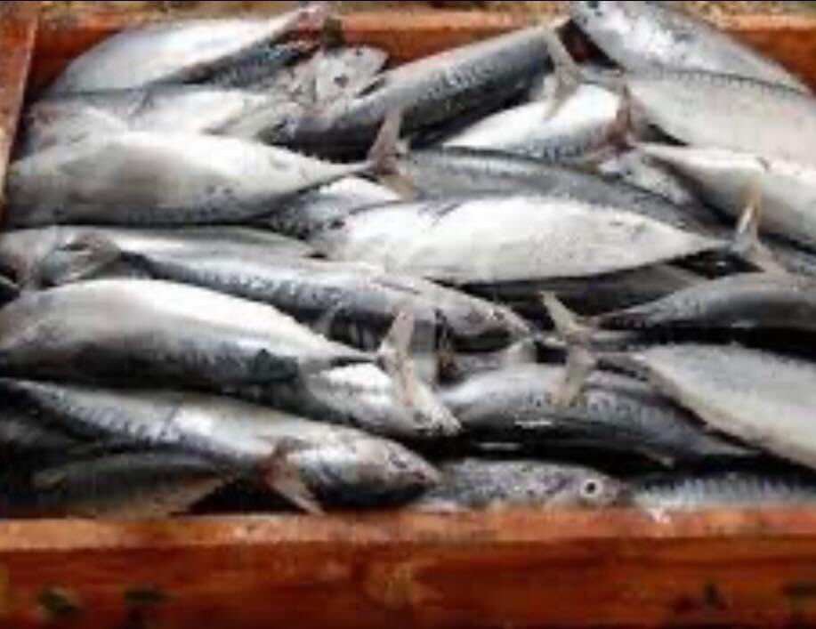 lamacameroun's tweet photo. ✅TEC à 10% à l’importation des riz et poissons et 5% pour le blé
✅Suppression du taux réduit de 5% du droit de douanes pour l’importation de riz 

Les mesures du #PLF2023, interpellent les PME du secteur à mieux organiser leurs activités.

#entrepreneuriat 
#lamacameroun https://t.co/Tca8DFvl7P