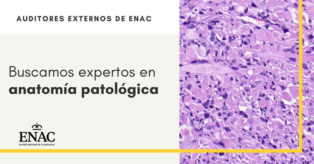 ENAC tweet media