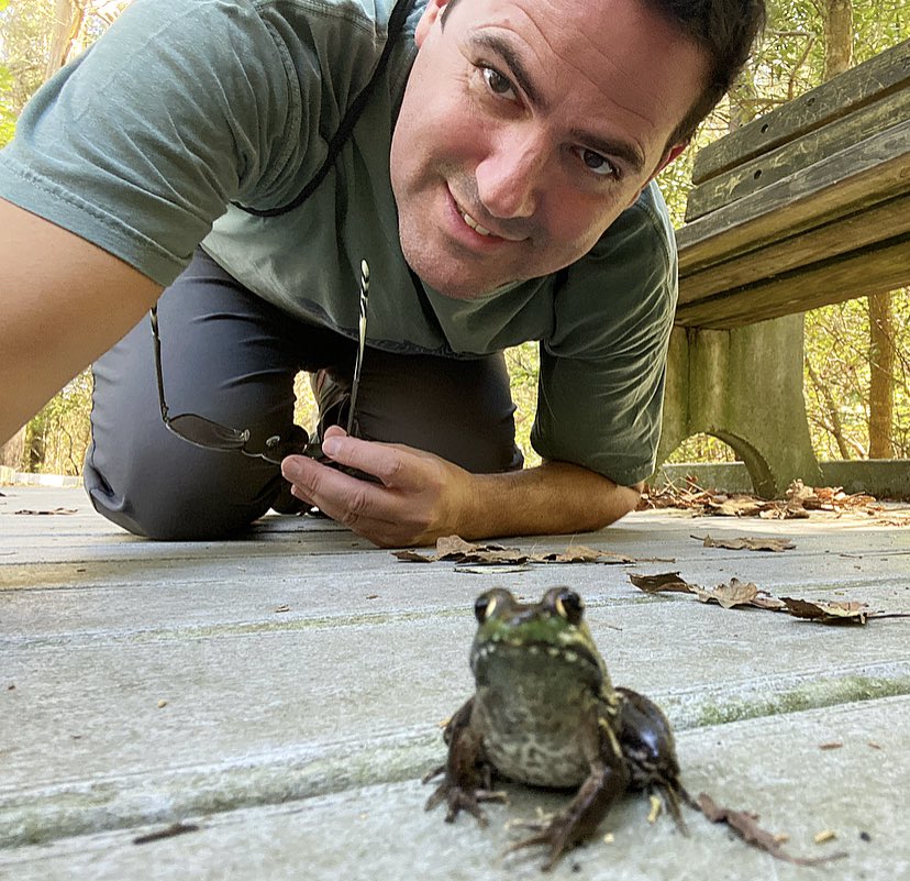 IncNaturalist's tweet photo. It’s #TweetAFrog time again. Here is one from New Jersey. Can you tell which one is the frog? 🐸🐸 https://t.co/I475GW7bYs