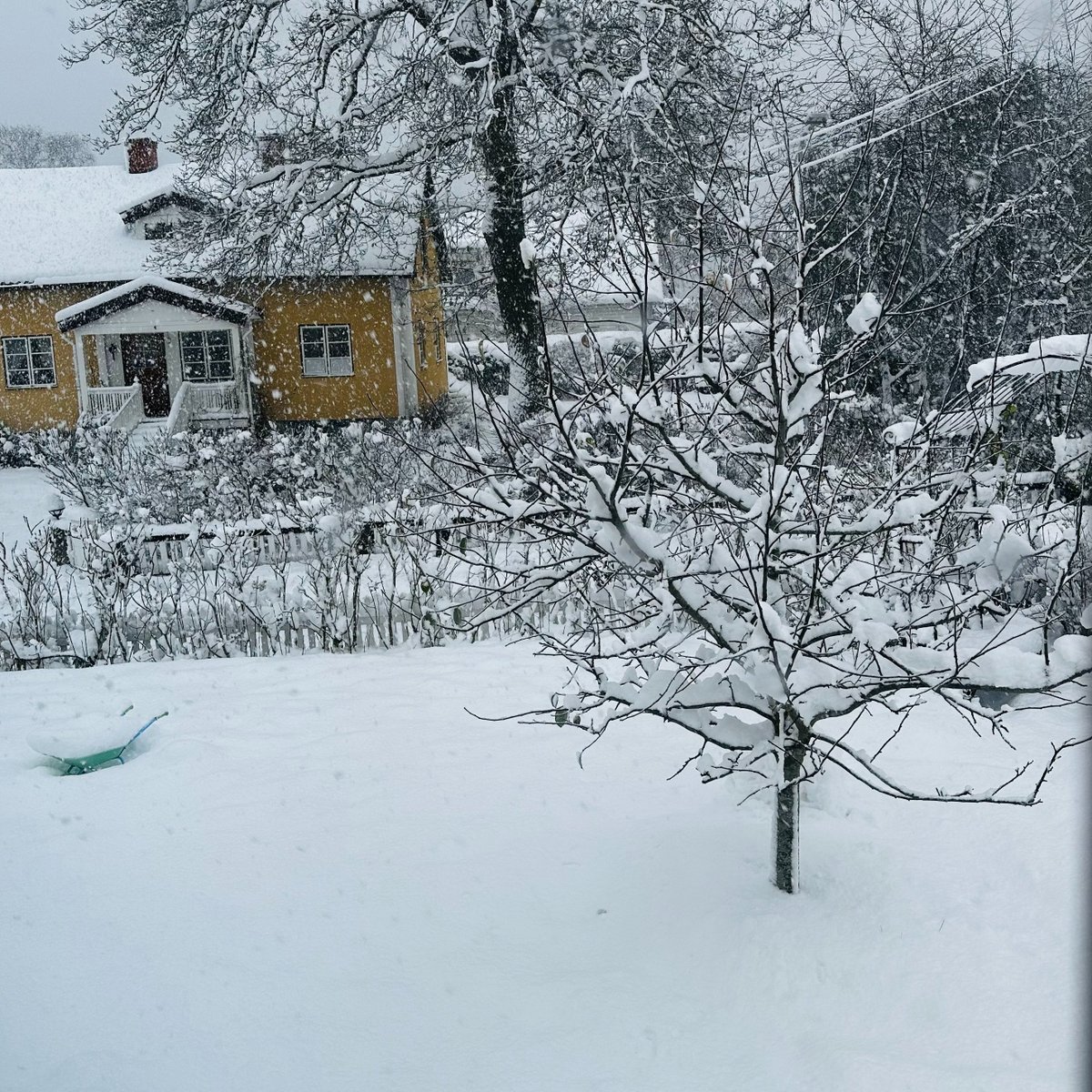 #snowday in Hub Planner's HQ City, Stockholm 🥶❄️☃️ <a href="/TheLocalSweden/">The Local Sweden</a>