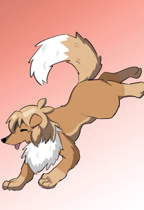 犬花 