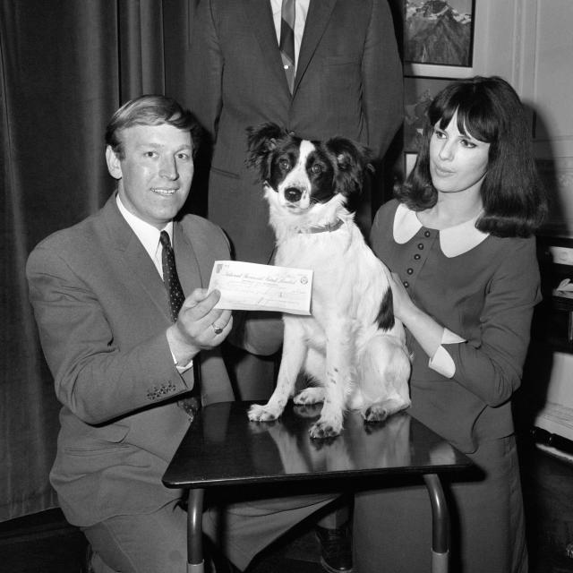 historia primer robo copa mundo 1966 perro encontró jardín