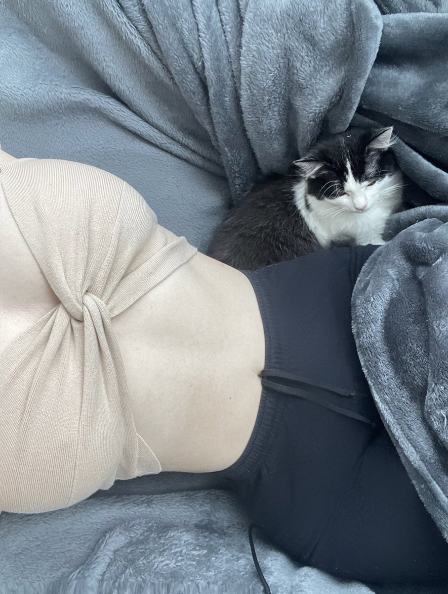 _oh_sofia_'s tweet photo. Це я вриваюсь у сексі мандей з котом який мене не підтримує 🥲 https://t.co/SmYKpXWNks