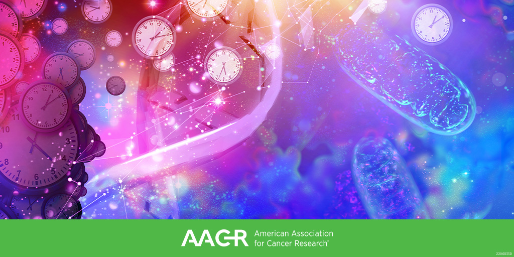 HIV-positive patients with cancer may have accelerated biological aging, according to a study presented at the AACR Special Conference on Aging and Cancer. Learn more: bit.ly/3EMPYwU #AACRaging22 @coghill_anna @MoffittResearch