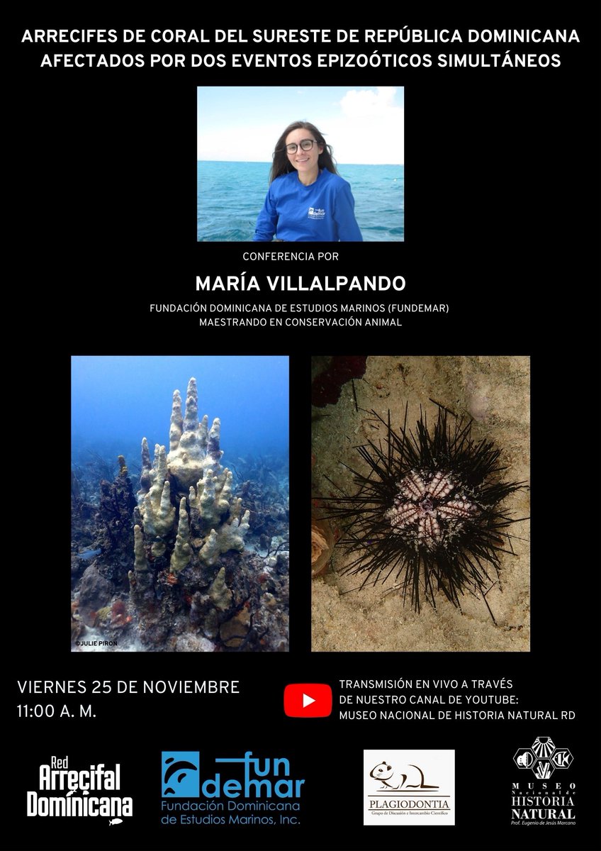 MuseoNaturalRD's tweet photo. El grupo de discusión e intercambio científico Plagiodontia y el Museo Nacional de Historia Natural "Prof. Eugenio de Jesús Marcano" (@museonaturalrd) , en colaboración con la Fundación Dominicana de Estudios Marinos (@fundemardr ) https://t.co/sACWFcUJSy