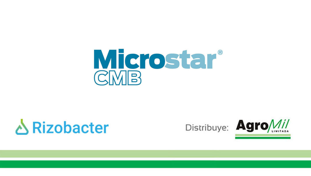 agromil_ltda's tweet photo. 👌 Buena implantación de soja con #MicrostarCMB en 📍 Vichadero, Rivera. 👥 Rizobacter y Agromil.
#MicrostarSoja #RizobacterUruguay https://t.co/hKskfNv71c