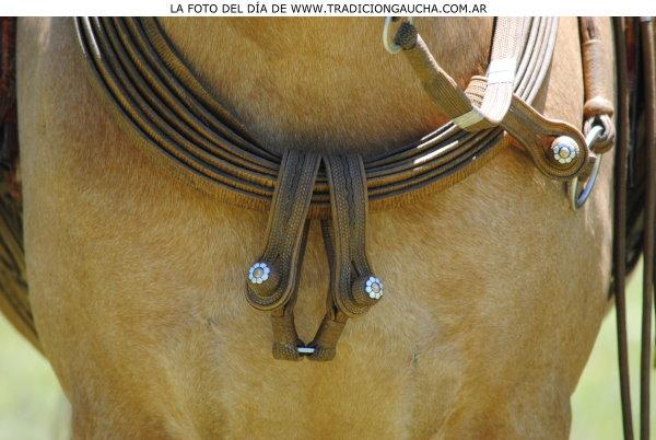 tradiciongaucha's tweet photo. 📸 #FotoDelDía #Atador #Manea #Tradición https://t.co/Q6fUp1v351
