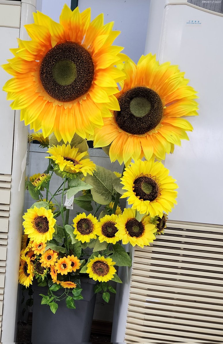 dtech_sl's tweet image. 