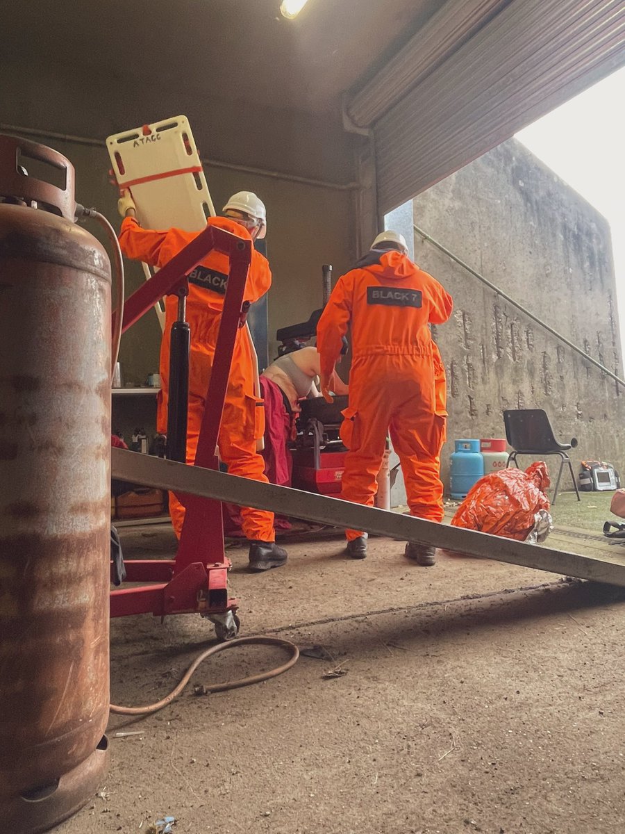 Lindsey Newey tweet media