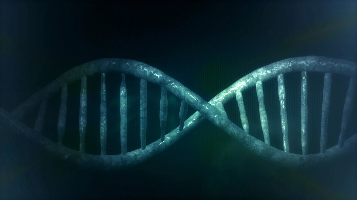 CaS_Genomics's tweet photo. We're looking for expressions interest to join our Patient and Public Involvement panel.

If you've had experience of genetic testing and want to guide the work we do, get in touch today! 

Find out more: https://t.co/L7WbmZBvwi

@NHSgms @genomicsedu @Sibs_uk https://t.co/LscT8PizGk