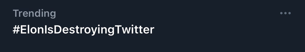 🏠❎ The. Blind. Squirrel. ❎ 🏠 tweet media