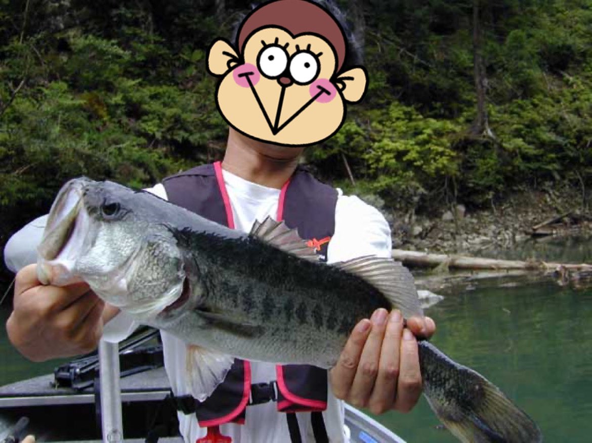 yu1022giri's tweet photo. サーバーの中整理してたら懐かしいの出てきたw
2001/9池原で50cm
これ、関東ならではのフィネスな釣り方だよねぇって言われたんよなー
#FLS60B
#seager
#4lb
#アライブシャッド
#ノーシンカー
#TDX2004C
#TeamDAIWA
#ufmウエダ https://t.co/6kUSAZPJsx