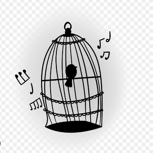 "Tudo tem um sentido".
Tem algo mais inspirador, pra quem estar sofrendo, que ver um pássaro engaiolado, mas mesmo assim, cantando???