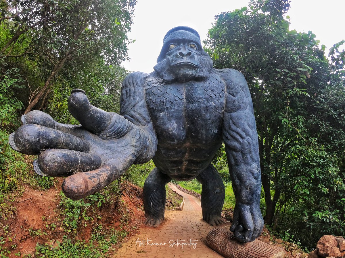Asitkumar_AK's tweet photo. Promise me join hands to save Nature
#environment #savenature #photographers_of_india #photooftheday #photojournalism #photographer #odisha #koraputdairy #bbsrbuzz #discoverodisha https://t.co/R8aOr5g6FM