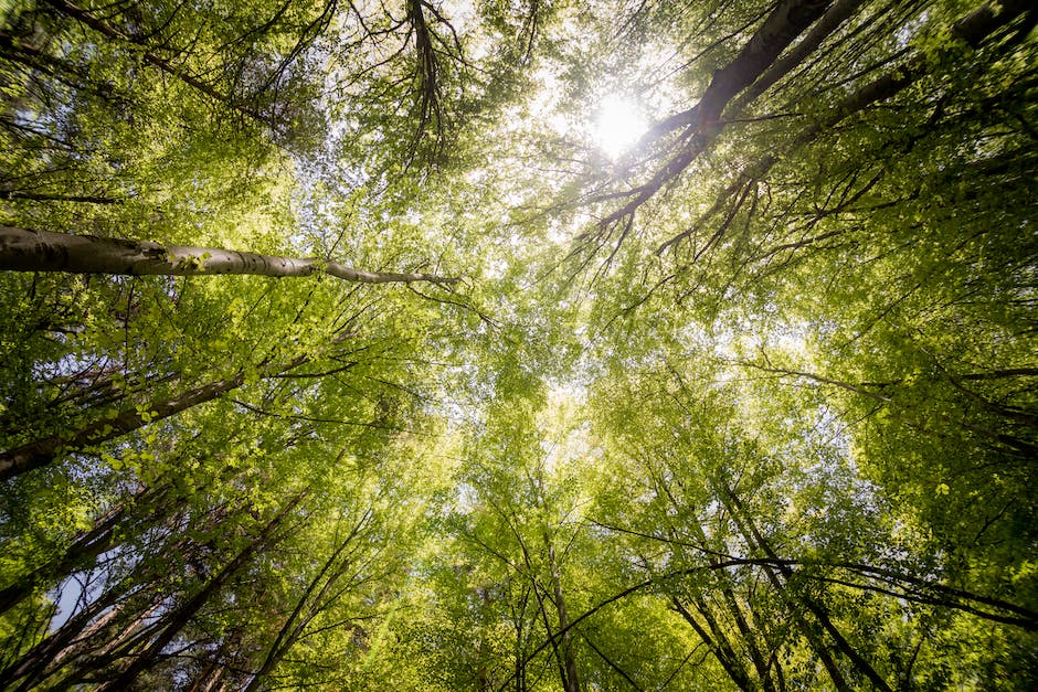 The St Andrews Prize (@standrewsprize) on Twitter photo The final of <a href="/univofstandrews/">University of St Andrews</a> Prize for the Environment takes place tomorrow - watch live and hear from the finalists for the prestigious environmental prize <a href="/MisionTiburon/">Misión Tiburón</a> @HIHngo and <a href="/Avanikumaon/">Avani</a>
Find out more 👇
ow.ly/6w9350LJqXO
#EverToExcel The final of <a href="/univofstandrews/">University of St Andrews</a> Prize for the Environment takes place tomorrow - watch live and hear from the finalists for the prestigious environmental prize <a href="/MisionTiburon/">Misión Tiburón</a> @HIHngo and <a href="/Avanikumaon/">Avani</a>
Find out more 👇
ow.ly/6w9350LJqXO
#EverToExcel
