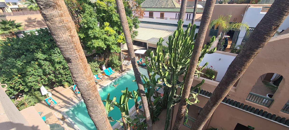 Even in late #November, the #garden and #terrace of Les #Jardins de la #Medina boutique #hotel in #Marrakech is a magical spot to relax and catch some rays... mintmorocco.com/les-jardins-de…🌴☀️💜