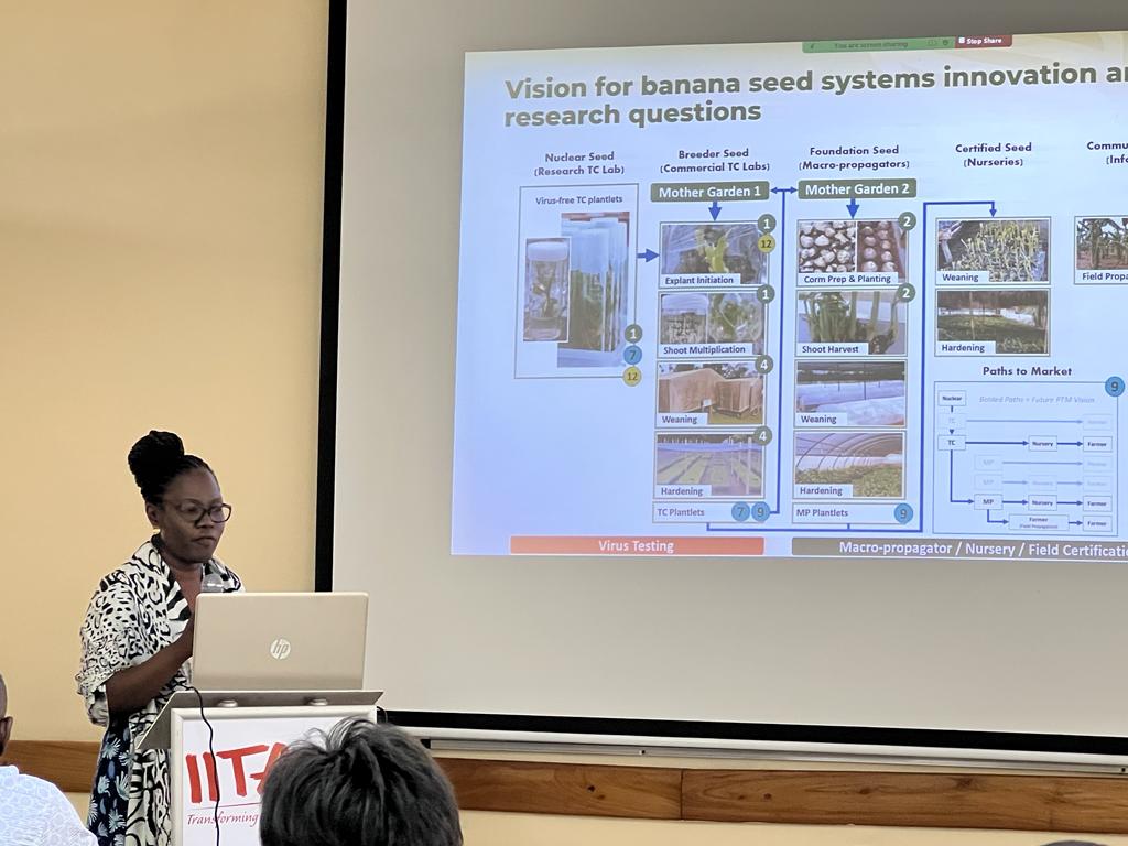 Delphine Amah (@amahdelphine) on Twitter photo Presenting our vision for #banana and #plantain #seedsystems innovation research at the #PROSSIVA side meeting during the IITA planning week in Ibadan.
<a href="/IITA_CGIAR/">IITA</a> @SwennenRony <a href="/KayondoSirajIsm/">Kayondo Siraj Ismail</a> <a href="/BrigitteUwimana/">Brigitte Uwimana</a> <a href="/jamesplegg/">James Legg</a> <a href="/GVNakato/">Gloria Valentine Nakato</a> Presenting our vision for #banana and #plantain #seedsystems innovation research at the #PROSSIVA side meeting during the IITA planning week in Ibadan.
<a href="/IITA_CGIAR/">IITA</a> @SwennenRony <a href="/KayondoSirajIsm/">Kayondo Siraj Ismail</a> <a href="/BrigitteUwimana/">Brigitte Uwimana</a> <a href="/jamesplegg/">James Legg</a> <a href="/GVNakato/">Gloria Valentine Nakato</a>