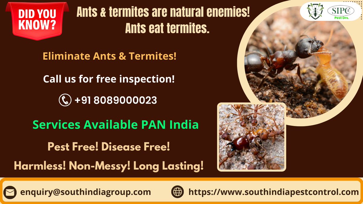sipcpestcontrol's tweet photo. Do you know one thing? Ants &amp; termites are natural enemies. Ants eat termites. Call SIPC will Get rid of them easily.https://t.co/1u3QWV5szC 8089000023 #termitecontrol #termitefumigation #antcontrol #termiteprevention #termitespecialist #antcontrolservices #termitecontrolservice https://t.co/srKssodj3C