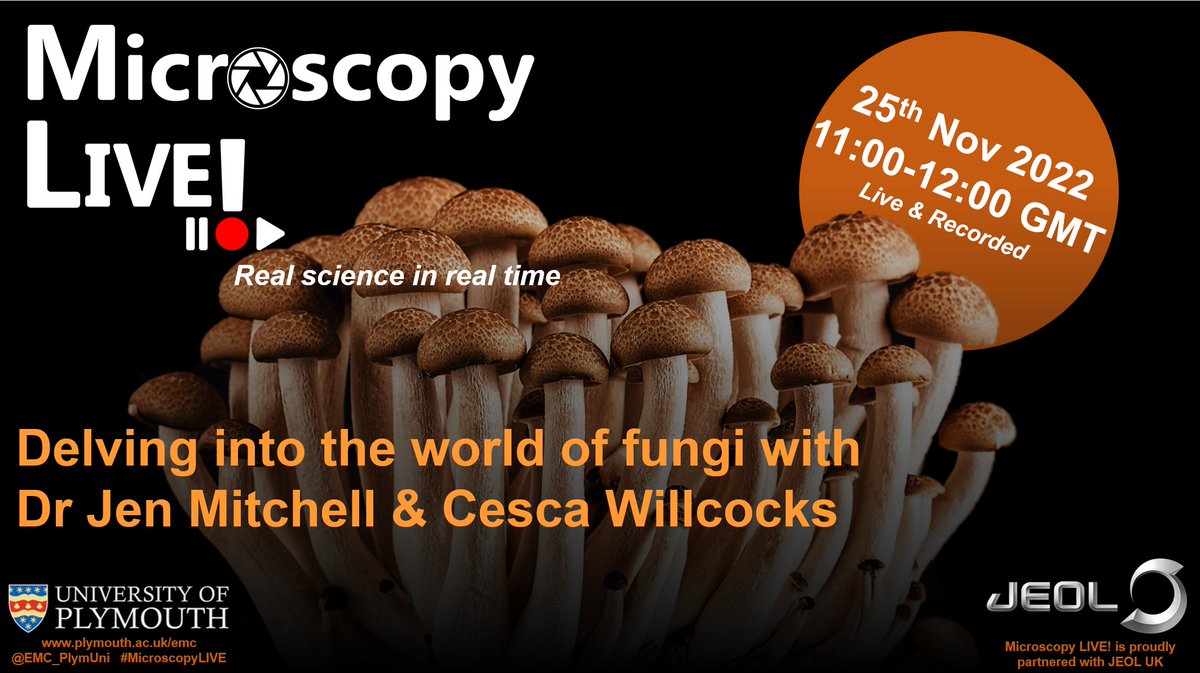 EMC_PlymUni's tweet photo. #MicroscopyLive returns virtually this Friday at 11 am GMT! Join Jen and Cesca as they investigate all things #fungi using #SEM! Attendance is free, and you'll even get the chance to win some @JEOLEUROPE &amp; #PEMC goodies in our quiz! Register here: https://t.co/K6ce02nab0 https://t.co/b5QEbVDyva