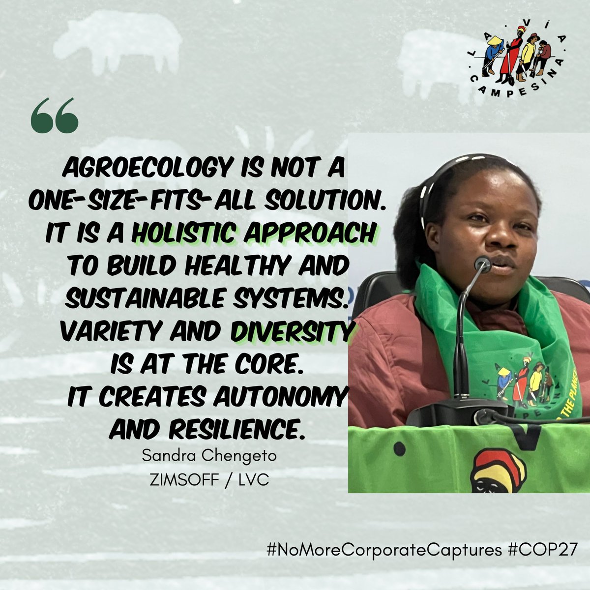 via_campesina's tweet photo. Peoples' solutions are diverse, not a one-size-fits-all recipe to save the world! Our solutions are resilient. Rooted in our local communities, our diversity, our cultural and #agroecological practices and food habits. Diversity is our strength! #cop27 #NoMoreCorporateCapture https://t.co/zvo5bglBHb
