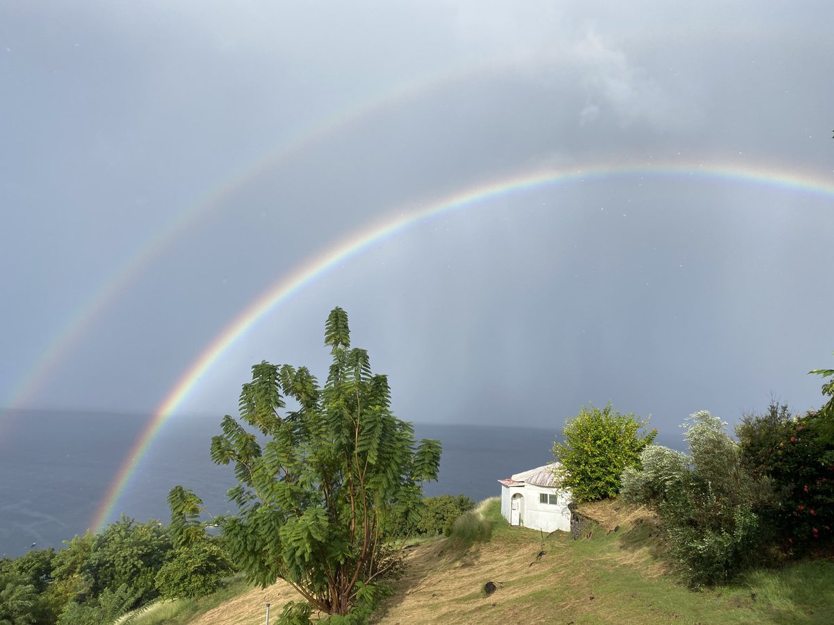 Ce matin en Martinique!