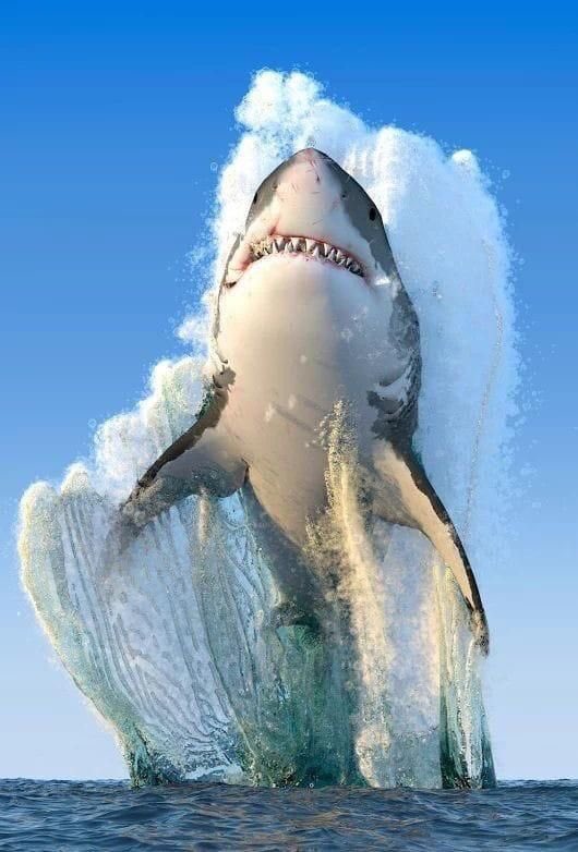 0.003 - 0.007 #ETH
the variety of #nature and #animals enchants the eye

opensea.io/collection/rom…