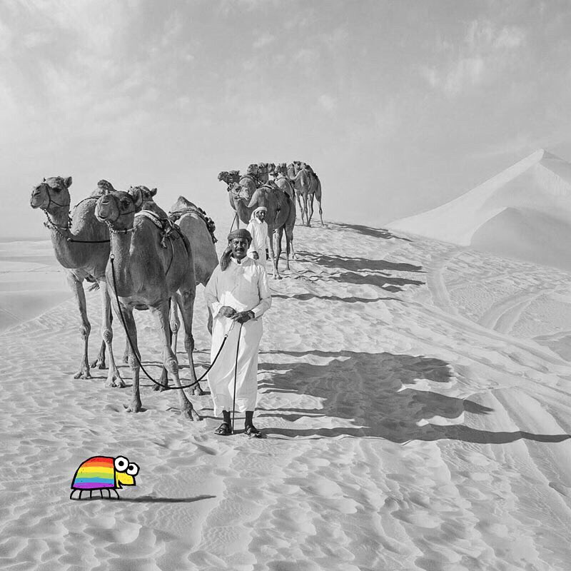 willemkolvoort's tweet photo. #candybeetle #qatar https://t.co/J4bPtsCQt2
