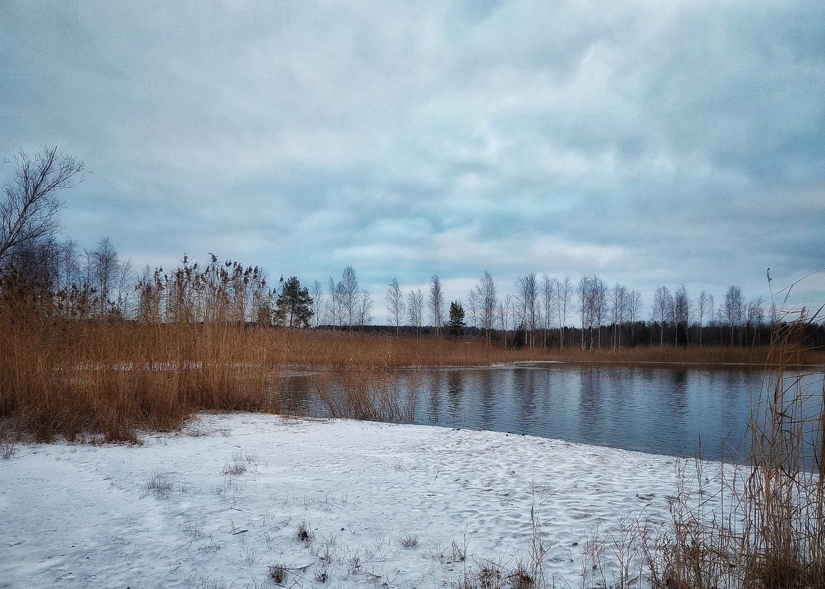 peepux's tweet image. Tuulen humina. Rauhallisuus. Hiljaisuus. 😉
#valokuvaus
#kouvola