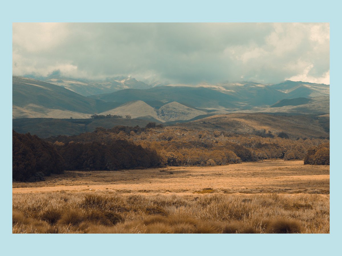 KijaniGallery's tweet photo. ...created world:order|chaos• silence|noise •

#beautyallaround #landscapephotography #landscapes #TembeaKenya @magicalkenya @KOhawa @KSafarisKE @CheetahSafariKe @PhotosForTrees @Min_TourismKE https://t.co/c4jN40VqFc