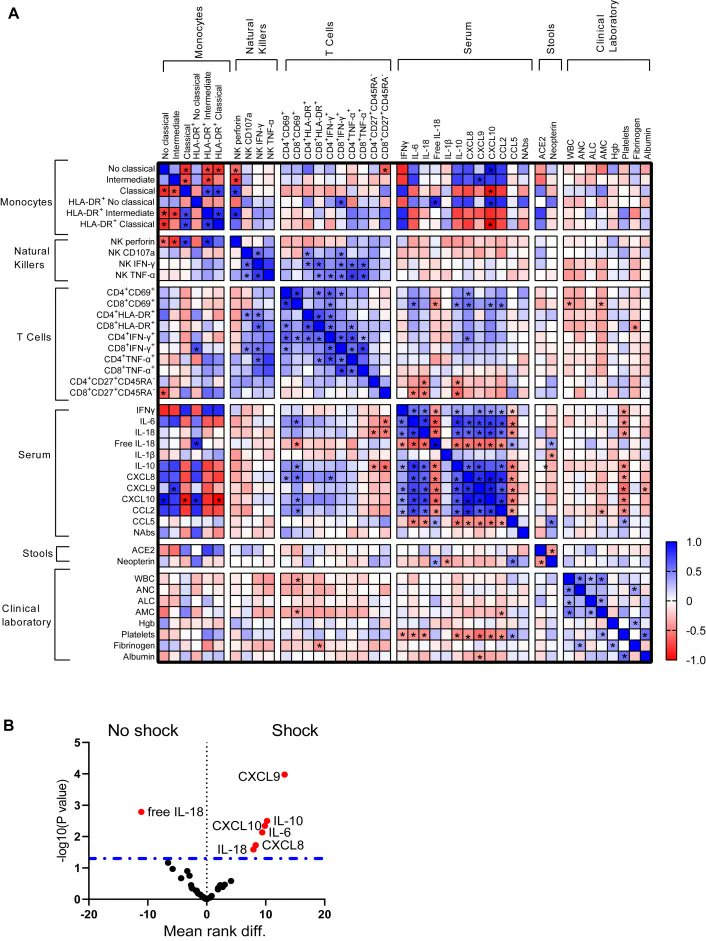Aller_MD's tweet photo. “Deep #immunophenotyping reveals biomarkers of #multisystemic #inflammatory #syndrome in children in a Latin American cohort. Open Access” https://t.co/JnhdaIey42 https://t.co/ZaU3yQ25MX