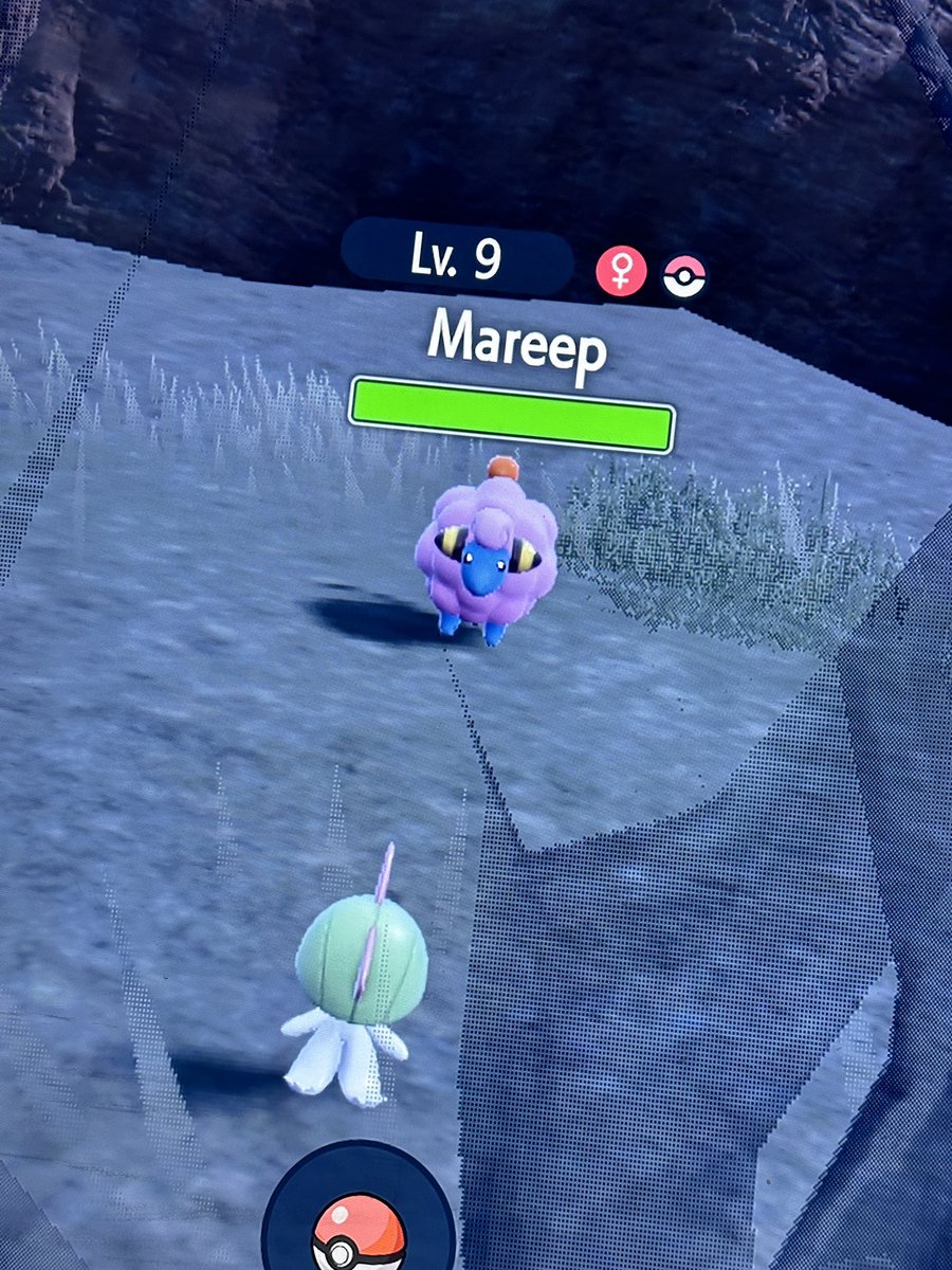 Rjmaxi_'s tweet photo. In my whole 20+ years of playing Pokemon I have never seen a natural shiny in the wild. Until today! ✨ https://t.co/odKWCKlp2N